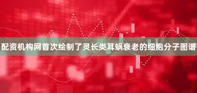 配资机构网首次绘制了灵长类耳蜗衰老的细胞分子图谱