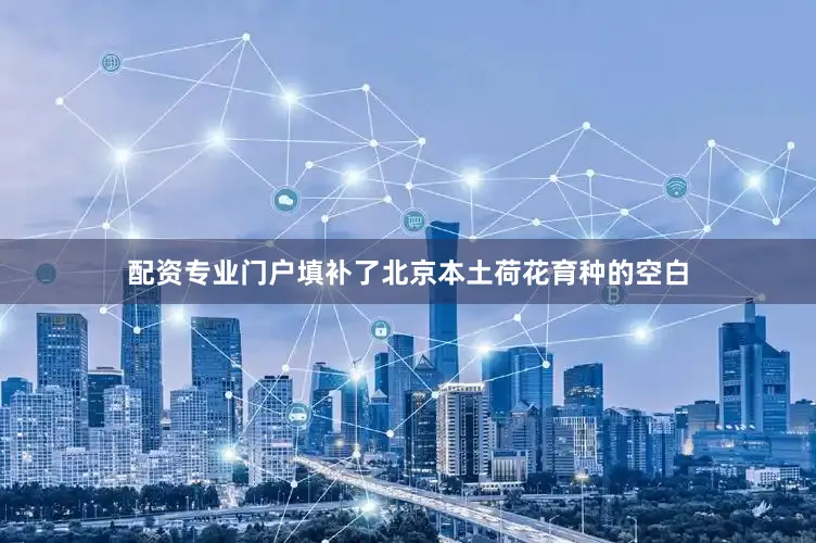 配资专业门户填补了北京本土荷花育种的空白