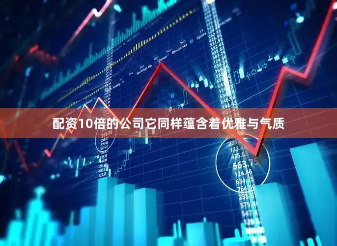 配资10倍的公司它同样蕴含着优雅与气质