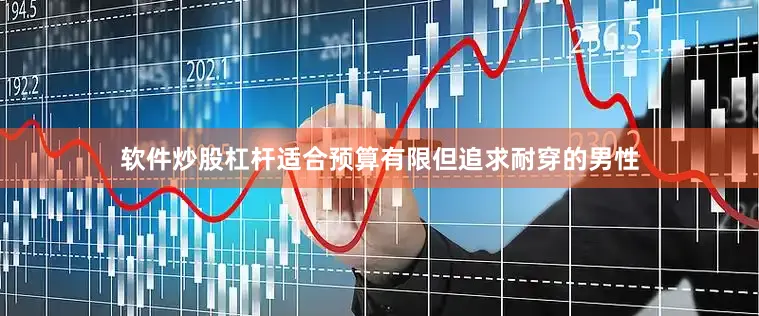 软件炒股杠杆适合预算有限但追求耐穿的男性