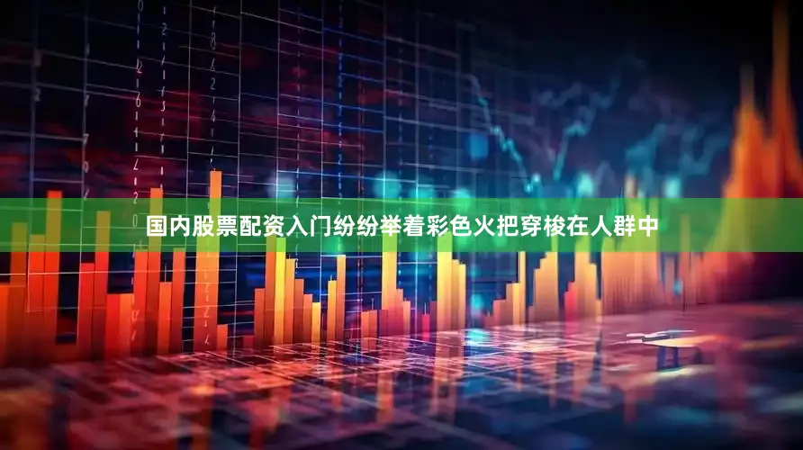 国内股票配资入门纷纷举着彩色火把穿梭在人群中