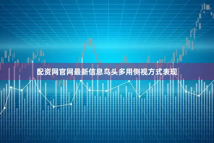 配资网官网最新信息鸟头多用侧视方式表现