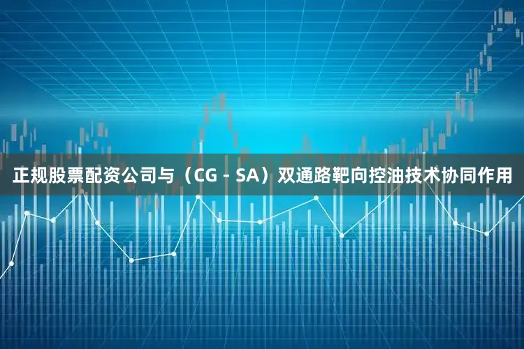 正规股票配资公司与（CG - SA）双通路靶向控油技术协同作用